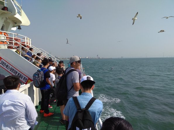 20180526月尾島海鷗船_180603_0005
