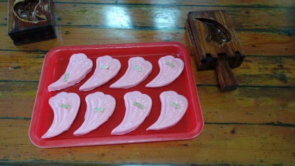 IMAG0668